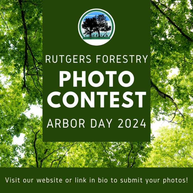 Arbor Day 2024 Photo Contest Urban Forestry Program