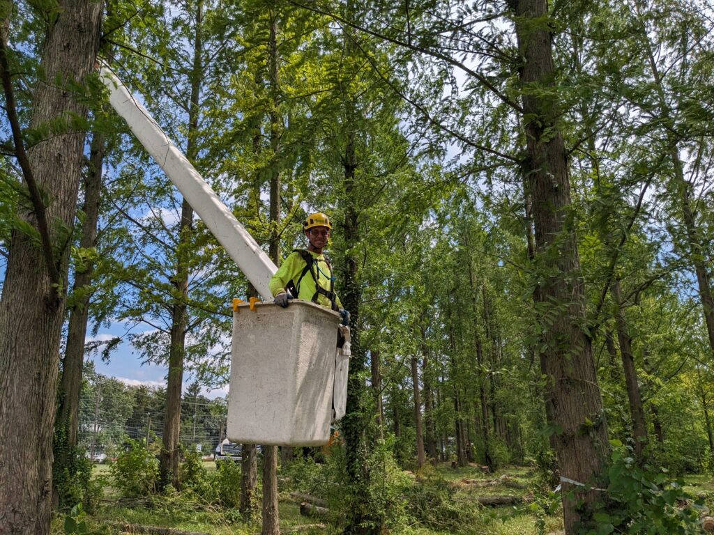 a tree care professional smiling in a bucket of a truck 