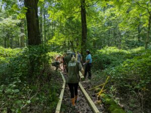 Trail clearing and wood staging