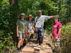 Forestry club students sawmilling and installing