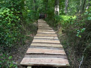 Completed raised boardwalk
